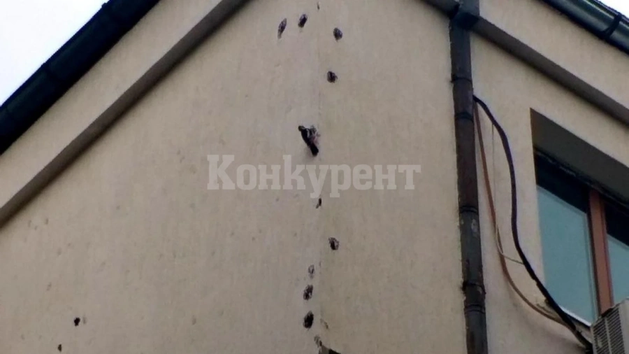 След биковете: И кълвачи нападнаха „Лозенец“, направиха сградите на решето