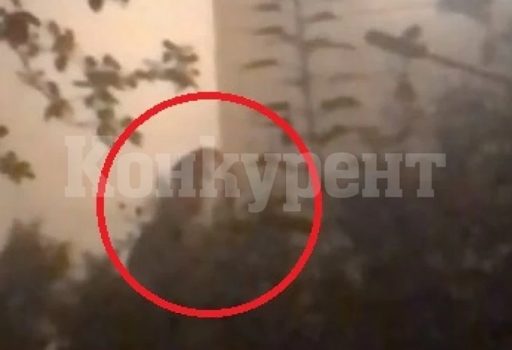 Момиче засне на ВИДЕО зловеща фигура в храстите и изчезна мистериозно, а няколко дни по-късно...