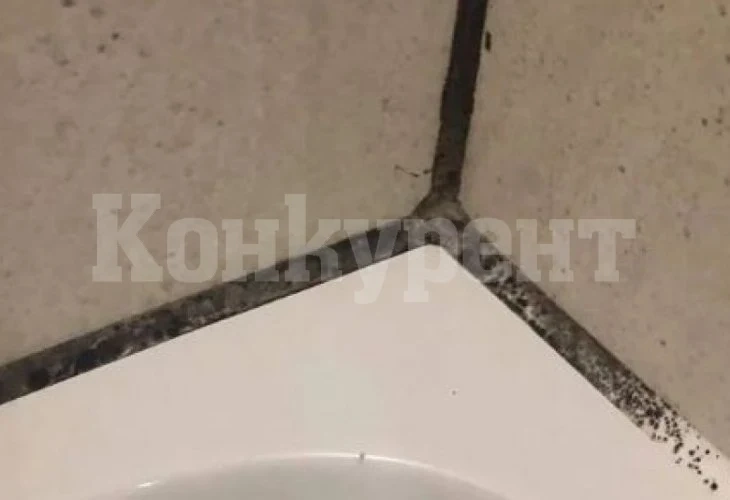 С този малък трик почистването на мухъла от фугите в банята е като детска игра