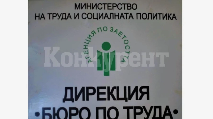 Висшисти трупат опит по програмата Старт в кариерата
