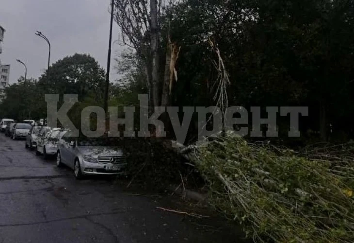 Зрелищни СНИМКИ: Бурята вилнее и опустошава Бургас!