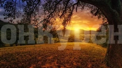 И днес ще е слънчево