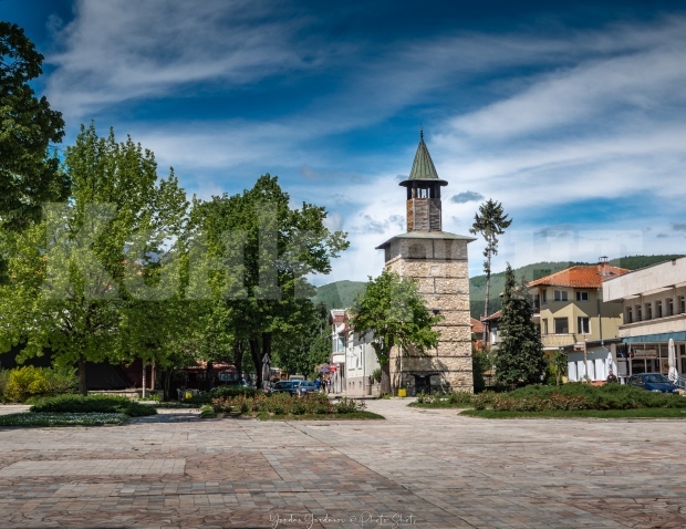 В Берковица продават 9 общински имота