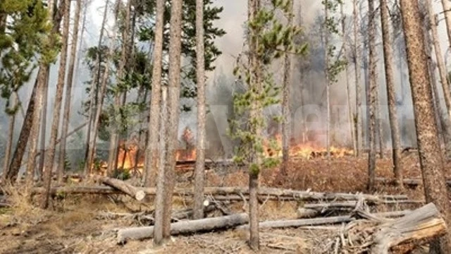 Бушува най-големият пожар в историята на Колорадо СНИМКИ