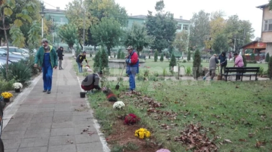 В Ружинци садиха цветя за празника на общината