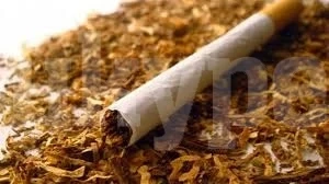 Хванаха незаконен тютюн при проверка