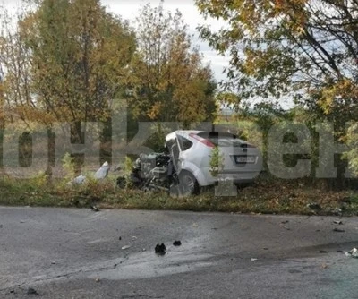 Баща и син на 6 годинки загинаха при катастрофа край Алфатар (Обновена)