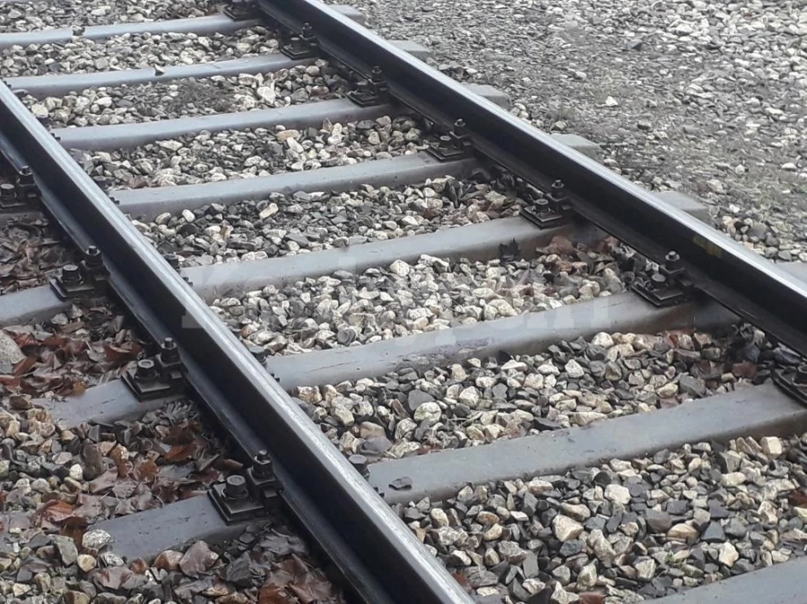 Влак прегази легнала на релсите жена край жп гара в Плевен