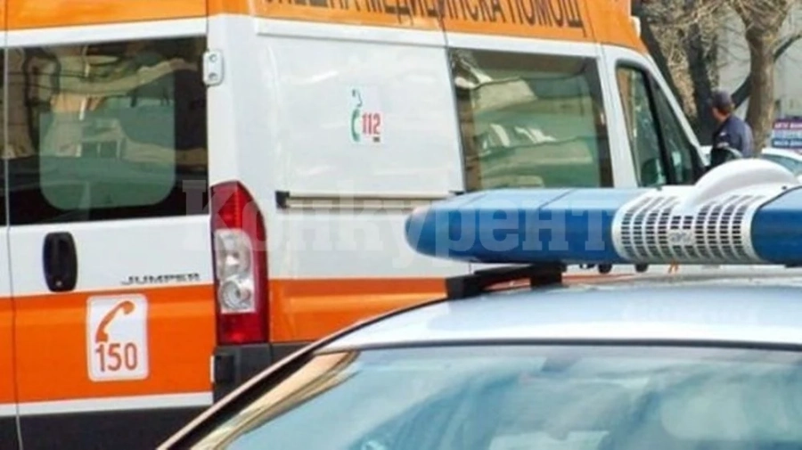 Шофьор удари мъж на улицата в Брегово и го уби