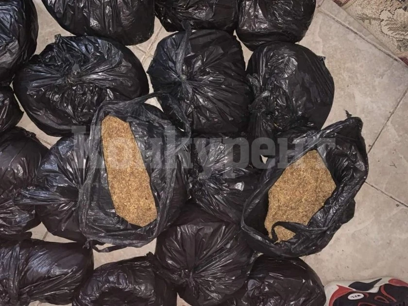 Удариха по контрабандата на тютюн във Врачанско, намериха 140 кила СНИМКА