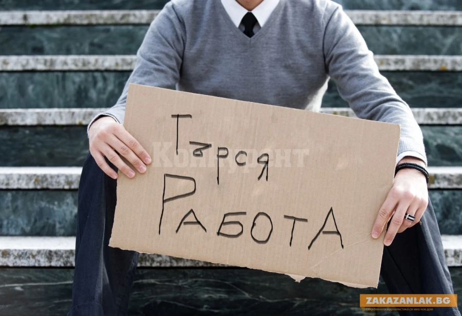 Искате работа като директор? Вижте тази обява