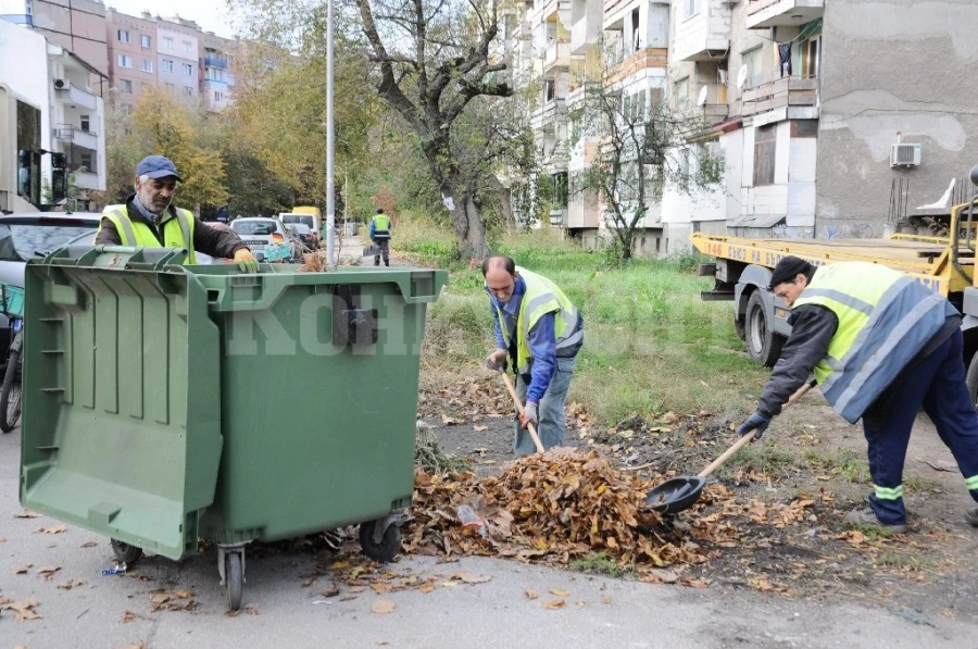 Започна извозването на падналите листа във Видин СНИМКИ