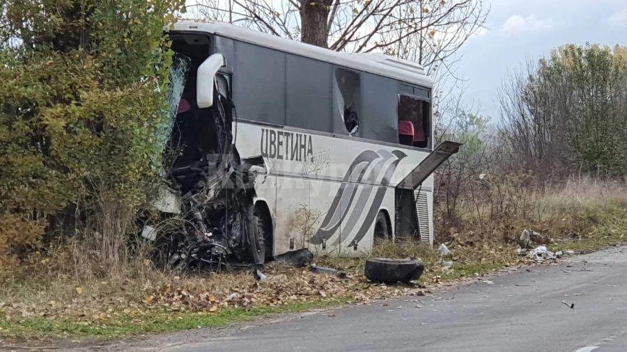 Загиналата врачанка в кървавата катастрофа край Литаково е...