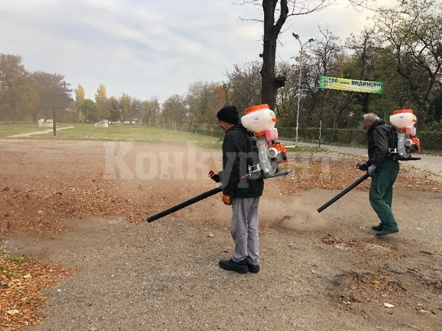Събират падналите листа във Видин с моторни метли СНИМКИ