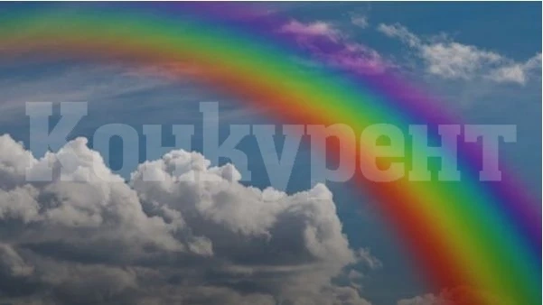 ЕС ще иска всички да признаят еднополовите бракове
