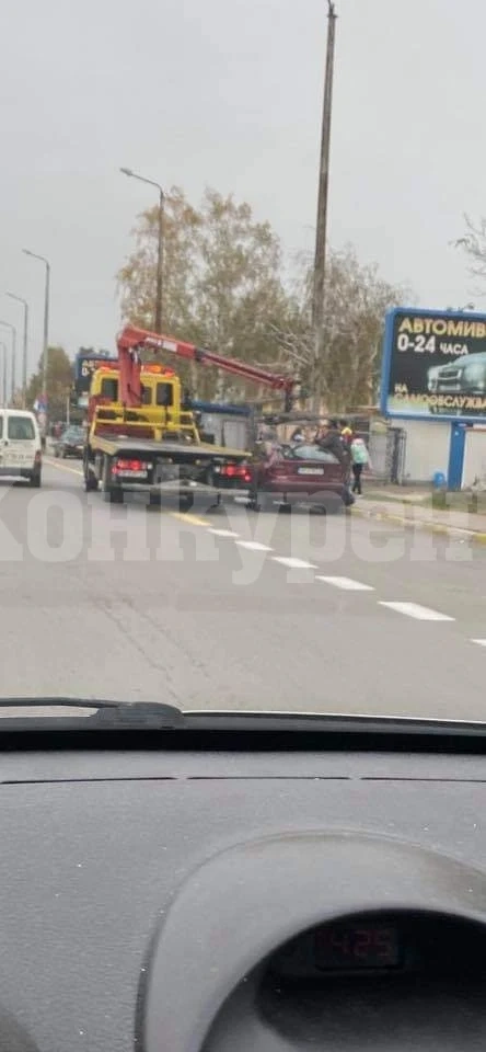 Това ли действие на паяка предизвика кладата пред общината? 