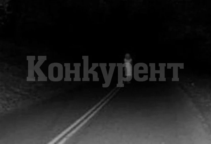 Призрак на момиче нахлу в кабината на тираджия ВИДЕО