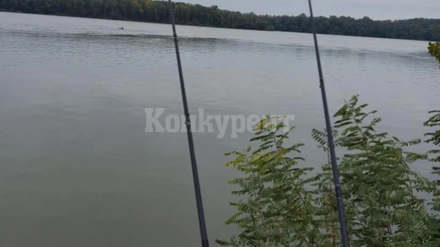 Мряната в Дунав кълве като луда на захранка с вкус на сирене