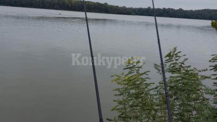 Мряната в Дунав кълве като луда на захранка с вкус на сирене