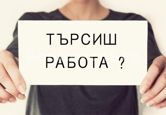 Вижте свободните работни места в Монтанско 