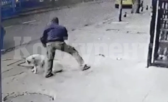 Задържаха мъжа, наръгал куче, откриха в дома му оръжия и боеприпаси (Видео)