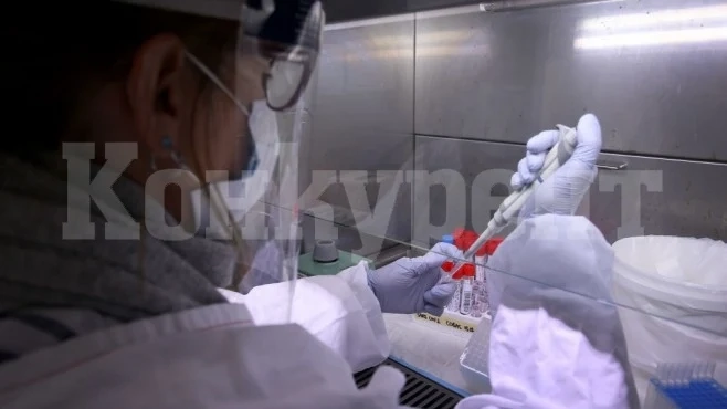 195 са активните случаи на коронавирус в област Видин