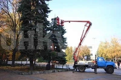 Монтана грейва в красива коледна украса