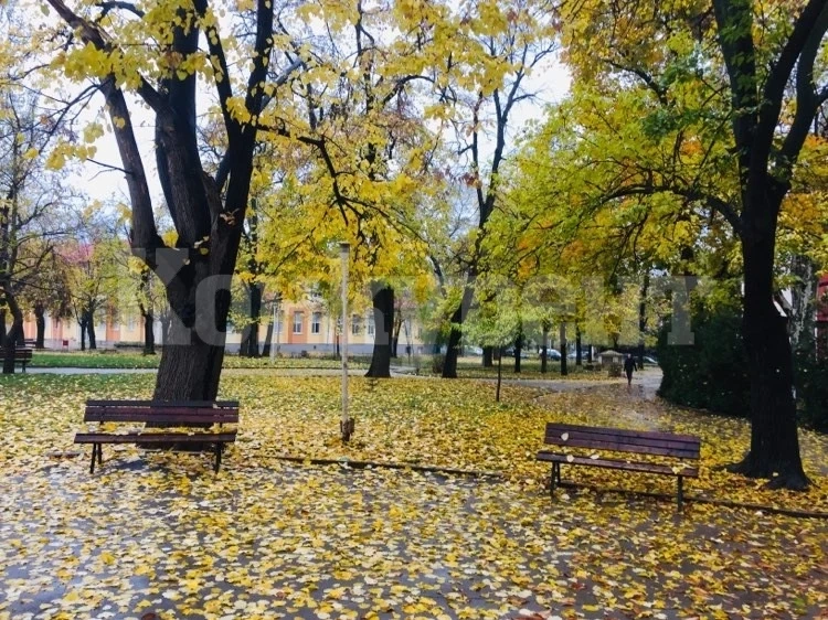 Много слънце днес, но на места трайни мъгли
