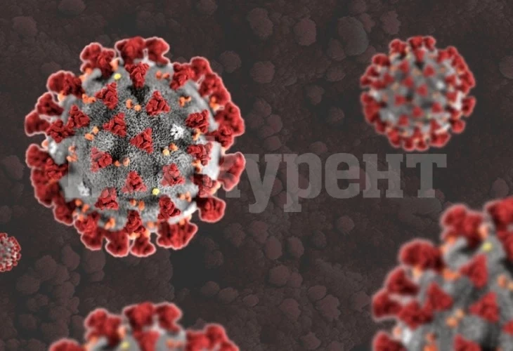 Ново изследване: Учените са поразени от невероятната издръжливост на COVID-19 върху различните повърхности