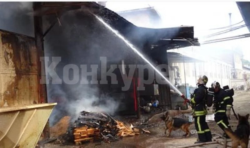 Огнена стихия опожари цех във Видинско