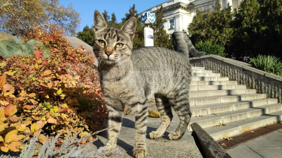 Затоплянето продължава в четвъртък