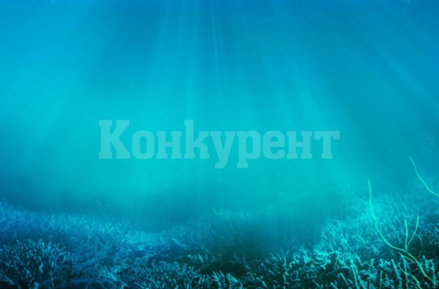 Откриха кодираща нацистка машина на дъното на Балтийско море