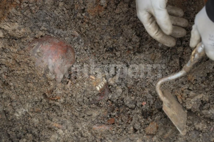 Археолози се натъкнаха на стена от 119 човешки черепа