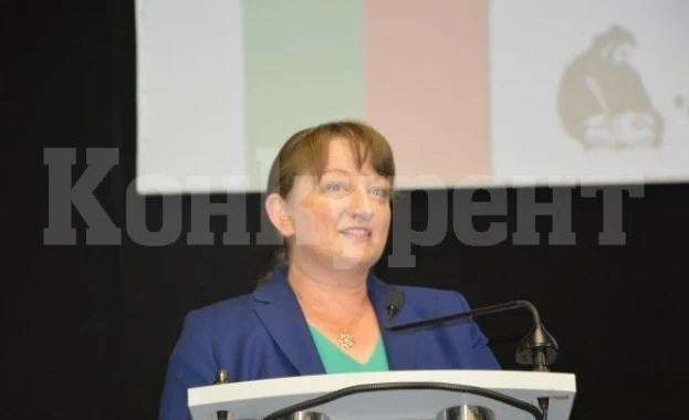 Деница Сачева: Трябват правила за хоум офиса, ако паднеш вкъщи, трудова злополука ли е
