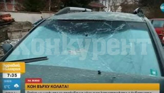 Безпризорен кон връхлетя върху кола и я разби (ВИДЕО)