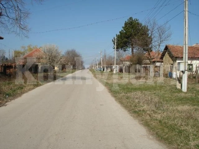 В Попица сами си правят лятно кино под звездите