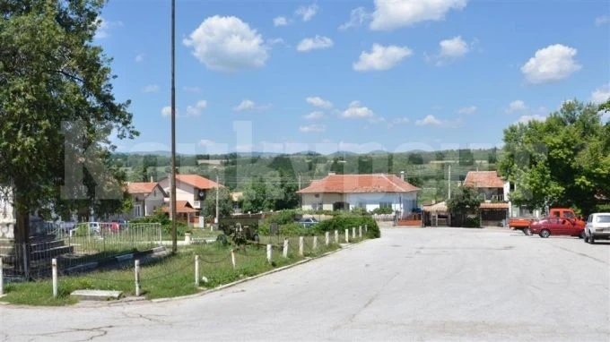 Засаждат дръвчета в село Моравица