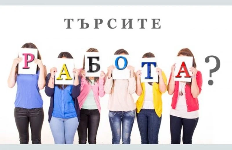 Търсите си работа? Вижте какви работни места са свободни