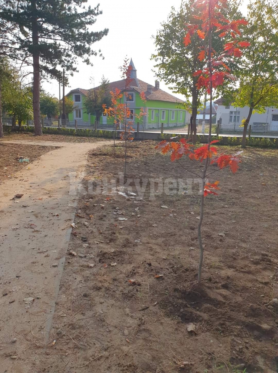 В Ружинци се похвалиха с добре свършена работа СНИМКИ : Konkurent.bg