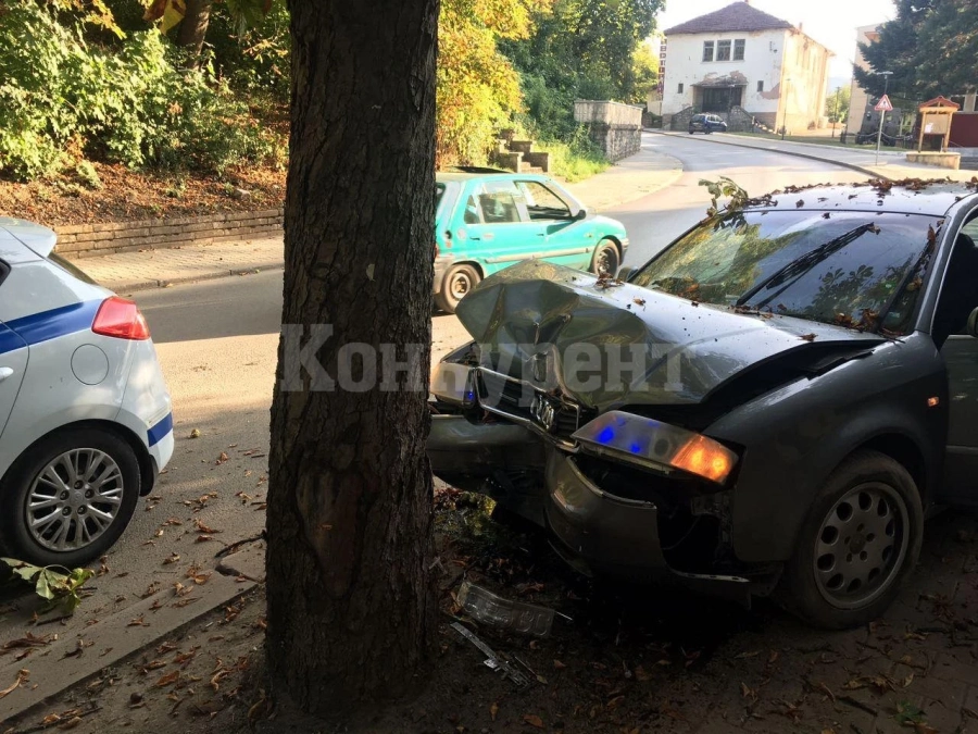 Трагедия! Софиянец с „Ауди“ загина след като се заби в крайпътно дърво във Врачанско 