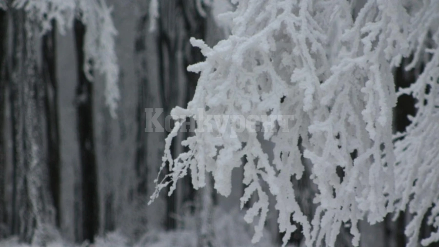 Вижте кога ще натрупа сняг