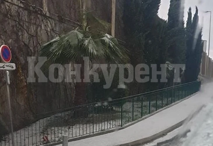 Неочаквана аномалия в Ница, за пръв път от години... СНИМКИ