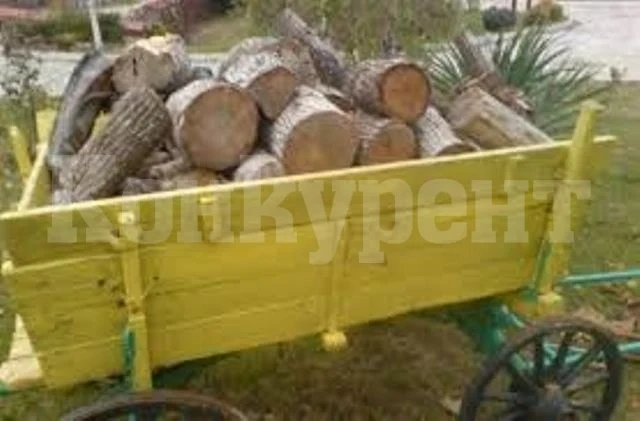 Удариха с акт мъж, бракониерствал в гората