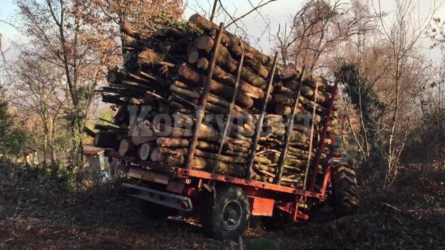 Спряха трактор без номера, натъпкан с незаконни дърва