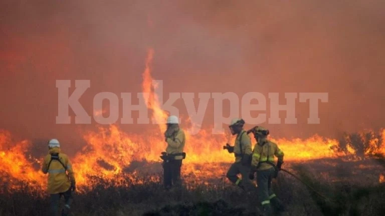 853 пожара са гасили огнеборците в Монтанско