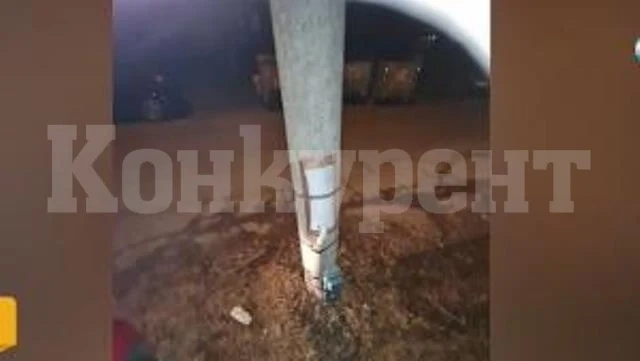 Ток удари куче на улица в София (ВИДЕО)