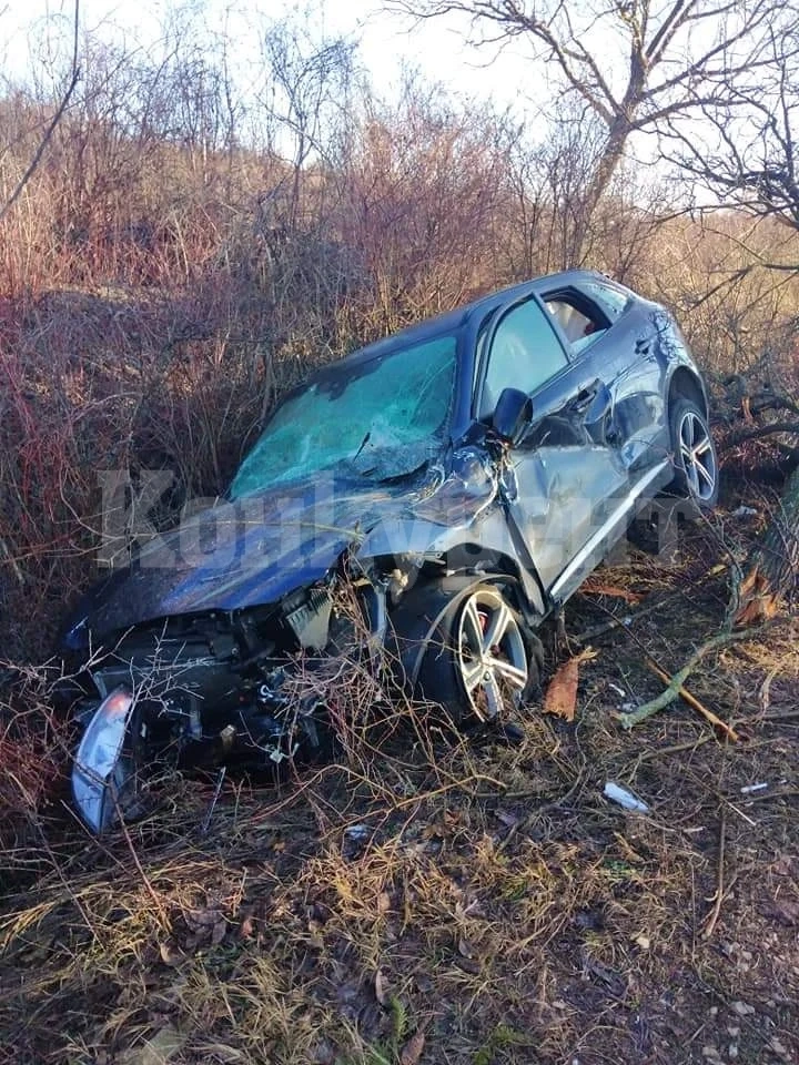 Шофьор „отсече“ дървета край пътя СНИМКИ