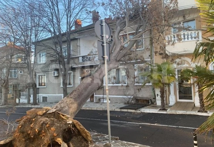 Бургас, Несебър и Поморие осъмнаха като след война от снощния ураган