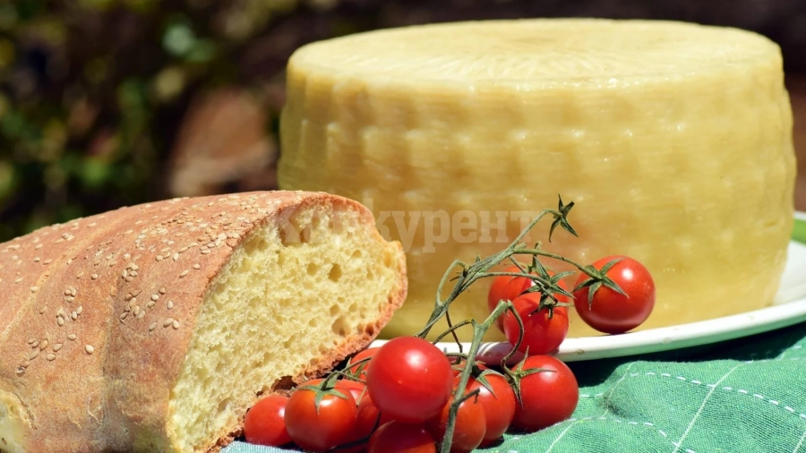 Млечните продукти в училищата и градините само по БДС