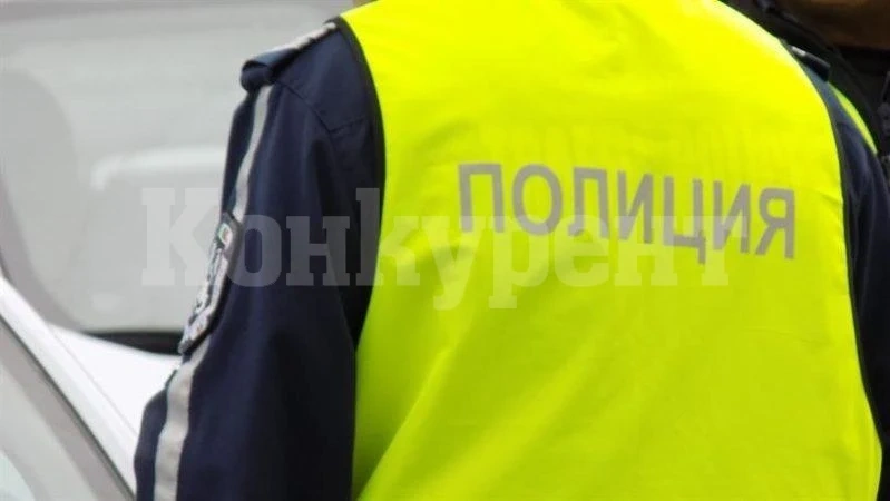 При акция във Видин намериха незаконни дърва и цигари